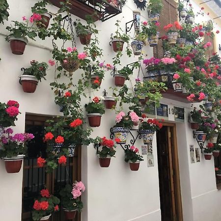 Apartamento El Rincon De La Verdad Cordoba Exterior photo