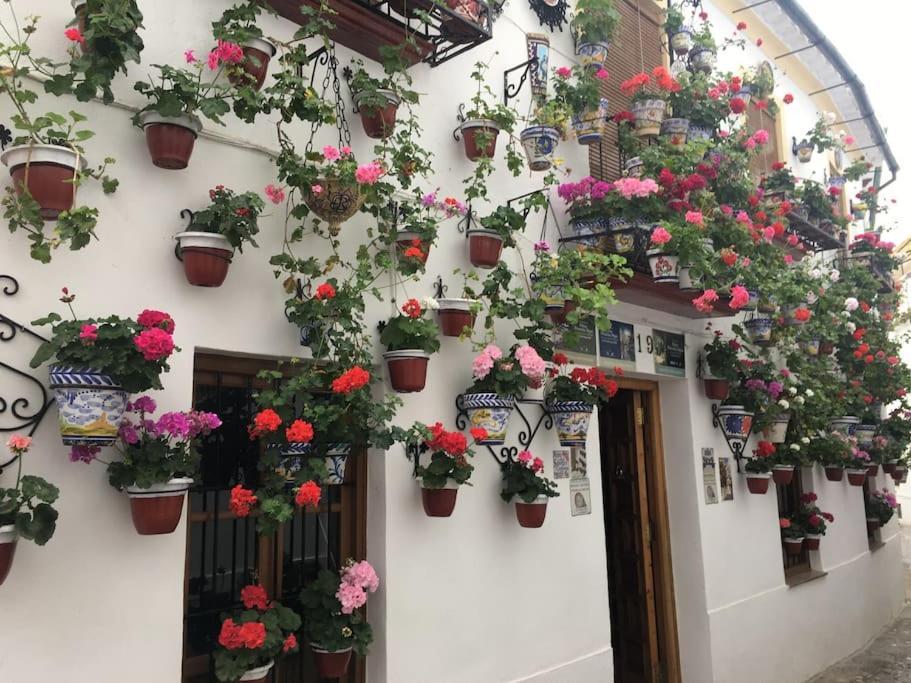 Apartamento El Rincon De La Verdad Cordoba Exterior photo